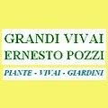 logo_GRANDI VIVAI ERNESTO POZZI