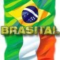 logo_Brasital Export