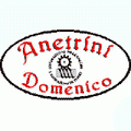 logo_ANETRINI Domenico