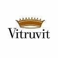 logo_Vitruvit spa