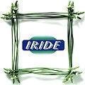 logo_Iride Window Films srl