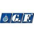 logo_G.f. Srl