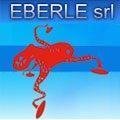 logo_Eberle srl