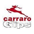 logo_CARRARO GIPS