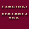 logo_Faggioli  Ecologia  Srl
