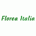 logo_Florea Italia