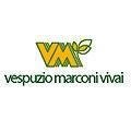 logo_VESPUZIO MARCONI