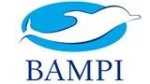 logo_BAMPI Spa
