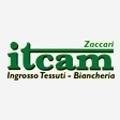 logo_ITCAM