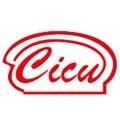 logo_CICU INFISSI