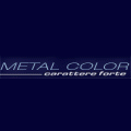 logo_METAL COLOR porte blindate