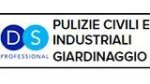 logo_DS Professional