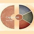 logo_CAPPELLINI Antichi Pavimenti