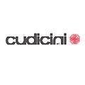 logo_CUDICINI