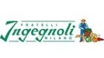 logo_Ingegnoli Spa