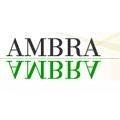 logo_Ambra di Terranova & C. s.n.c.
