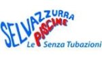 logo_Selvazzurra Piscine