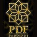 logo_P.D.F.srl