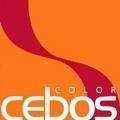 logo_Cebos Color Srl