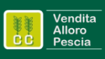 logo_Campioni Catuscia Alloro