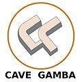 logo_CAVE GAMBA