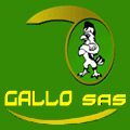 logo_Gallo Sas Di Gallo Roberto & C.