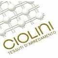 logo_F.lli CIOLINI snc