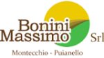 logo_Bonini Massimo Srl