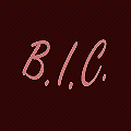 logo_b.i.c. bruschini isolamenti controsoffitti