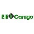 logo_CARUGO FRATELLI snc