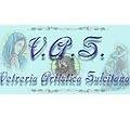 logo_V.A.S. Vetreria Artistica Sulcitana