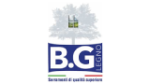 logo_B.g. Legno