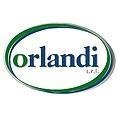 logo_ORLANDI VIRGINIO & FIGLI