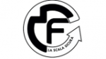 logo_Fgm Scale