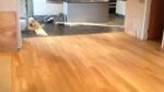 logo_Gargano Palchetti