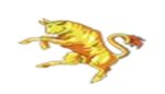 logo_Euro Group S.a.s. Di Angelo Massimo Donzella E C.