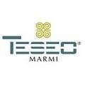 logo_TESEO MARMI