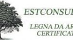 logo_Estconsulting