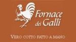 logo_Fornace Dei Galli Sas