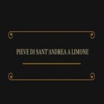 logo_Pieve Di Sant'Andrea A Limone