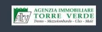 logo_Agenzia Immobiliare Torre Verde