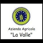 logo_Azienda Agricola La Valle