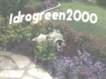 logo_Ideal Verde 2000