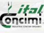 logo_ITALCONCIMI