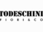 logo_TODESCHINI