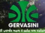 logo_GERVASINI