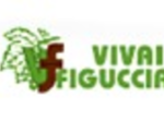logo_VIVAI FIGUCCIA