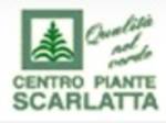 logo_CENTRO PIANTE SCARLATTA
