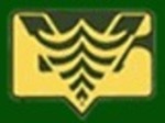 logo_LINEA VERDE GIARDINO