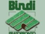 logo_Bindi Pratopronto